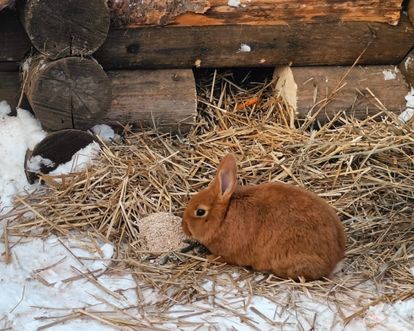 ФЕВРОМАРТ»