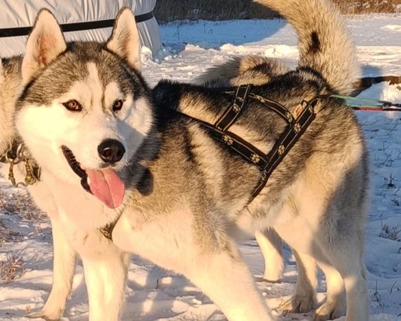 ФЕВРОМАРТ»