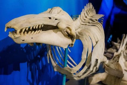 ХРАНИТЕЛЬ КУЛЬТУРНОГО НАСЛЕДИЯ 6+